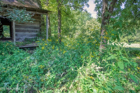 Tiny photo for Belcher Loop, Tellico Plains, TN 37385 (MLS # 1355984)