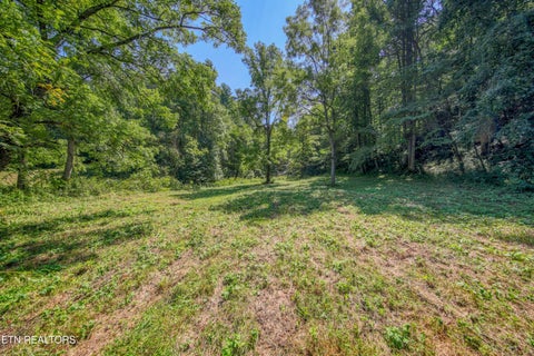 Tiny photo for Belcher Loop, Tellico Plains, TN 37385 (MLS # 1355984)