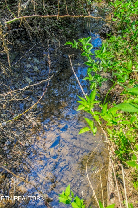 Tiny photo for Belcher Loop, Tellico Plains, TN 37385 (MLS # 1355984)