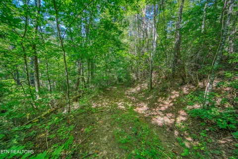 Tiny photo for Belcher Loop, Tellico Plains, TN 37385 (MLS # 1355984)
