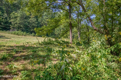 Tiny photo for Belcher Loop, Tellico Plains, TN 37385 (MLS # 1355984)
