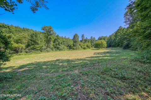 Tiny photo for Belcher Loop, Tellico Plains, TN 37385 (MLS # 1355984)