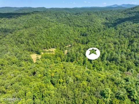 Tiny photo for Belcher Loop, Tellico Plains, TN 37385 (MLS # 1355984)