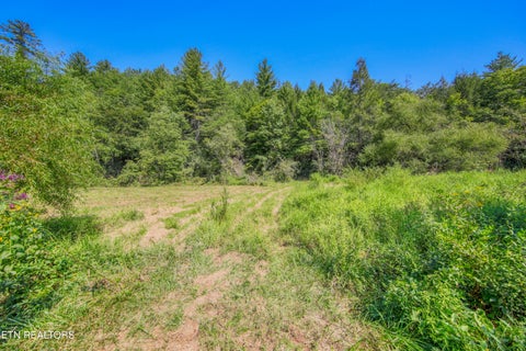 Tiny photo for Belcher Loop, Tellico Plains, TN 37385 (MLS # 1355984)