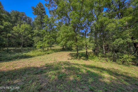 Photo of Belcher Loop, Tellico Plains, TN 37385 (MLS # 1355984)