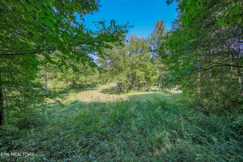 Tiny photo for Belcher Loop, Tellico Plains, TN 37385 (MLS # 1355984)