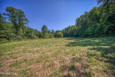 Tiny photo for Belcher Loop, Tellico Plains, TN 37385 (MLS # 1355984)