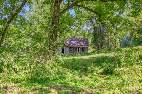 Tiny photo for Belcher Loop, Tellico Plains, TN 37385 (MLS # 1355984)