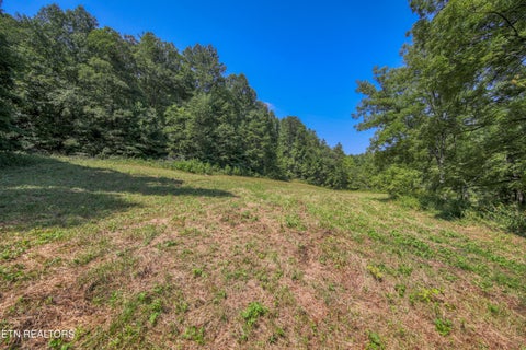 Tiny photo for Belcher Loop, Tellico Plains, TN 37385 (MLS # 1355984)