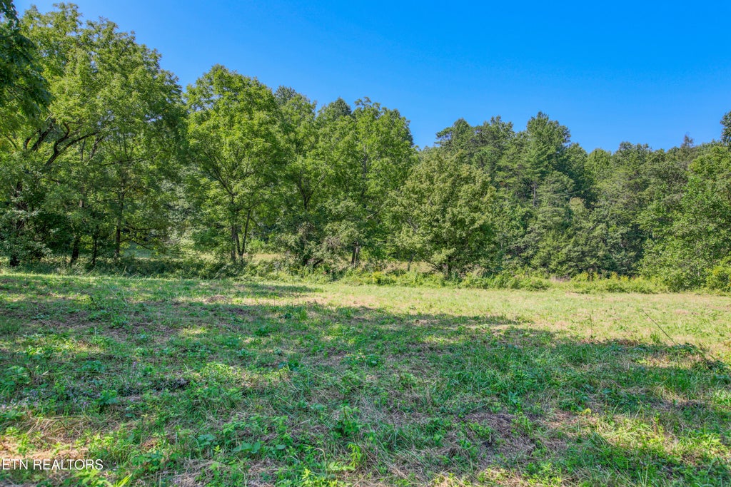 Photo of Belcher Loop, Tellico Plains, TN 37385 (MLS # 1355984)