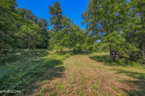 Tiny photo for Belcher Loop, Tellico Plains, TN 37385 (MLS # 1355984)