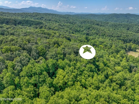 Tiny photo for Belcher Loop, Tellico Plains, TN 37385 (MLS # 1355984)