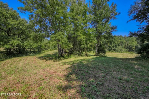 Tiny photo for Belcher Loop, Tellico Plains, TN 37385 (MLS # 1355984)