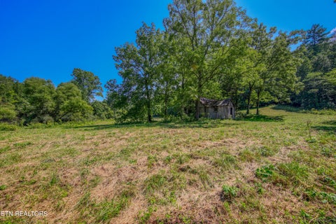 Tiny photo for Belcher Loop, Tellico Plains, TN 37385 (MLS # 1355984)