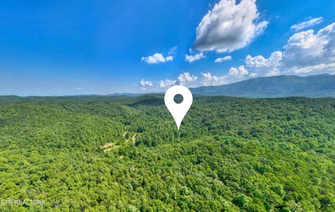 Tiny photo for Belcher Loop, Tellico Plains, TN 37385 (MLS # 1355984)