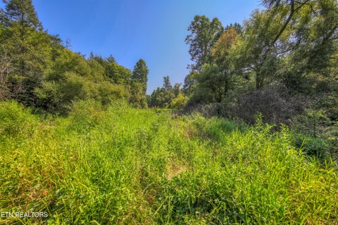 Tiny photo for Belcher Loop, Tellico Plains, TN 37385 (MLS # 1355984)