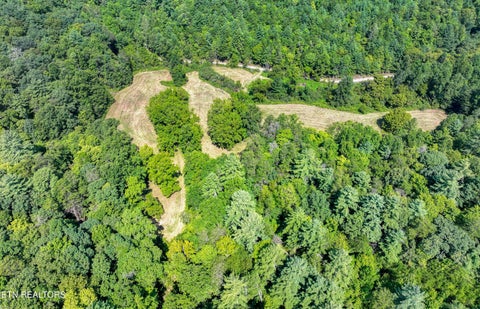 Tiny photo for Belcher Loop, Tellico Plains, TN 37385 (MLS # 1355984)