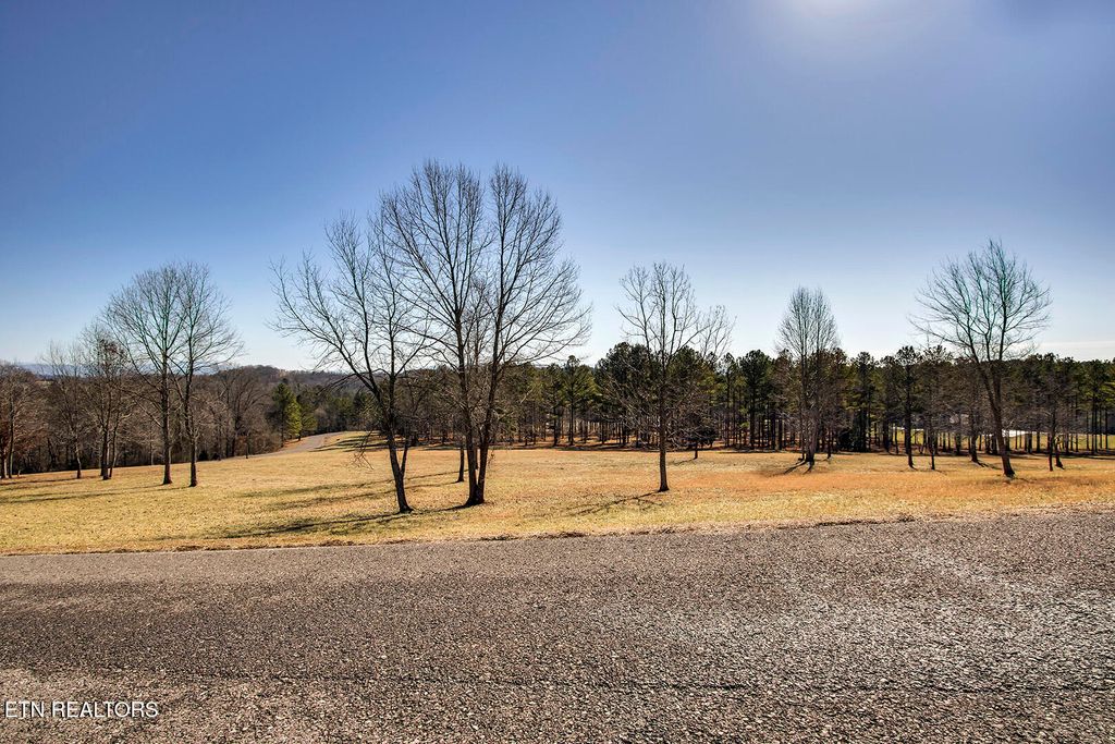 Photo of 129 Overlook Way, Vonore, TN 37885 (MLS # 1289721)