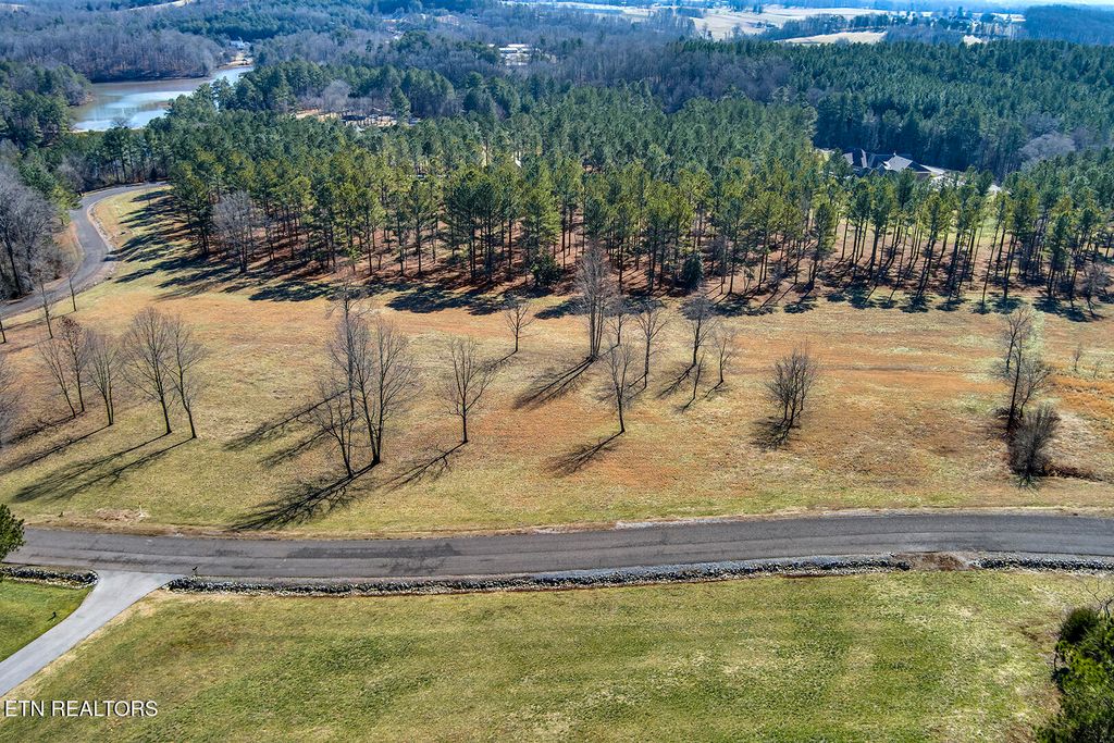 Photo of 129 Overlook Way, Vonore, TN 37885 (MLS # 1289721)