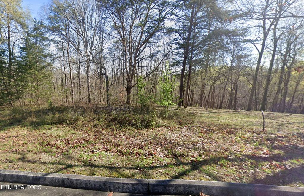 Photo of Deer Ridge Rd, Kingston, TN 37763 (MLS # 1307998)