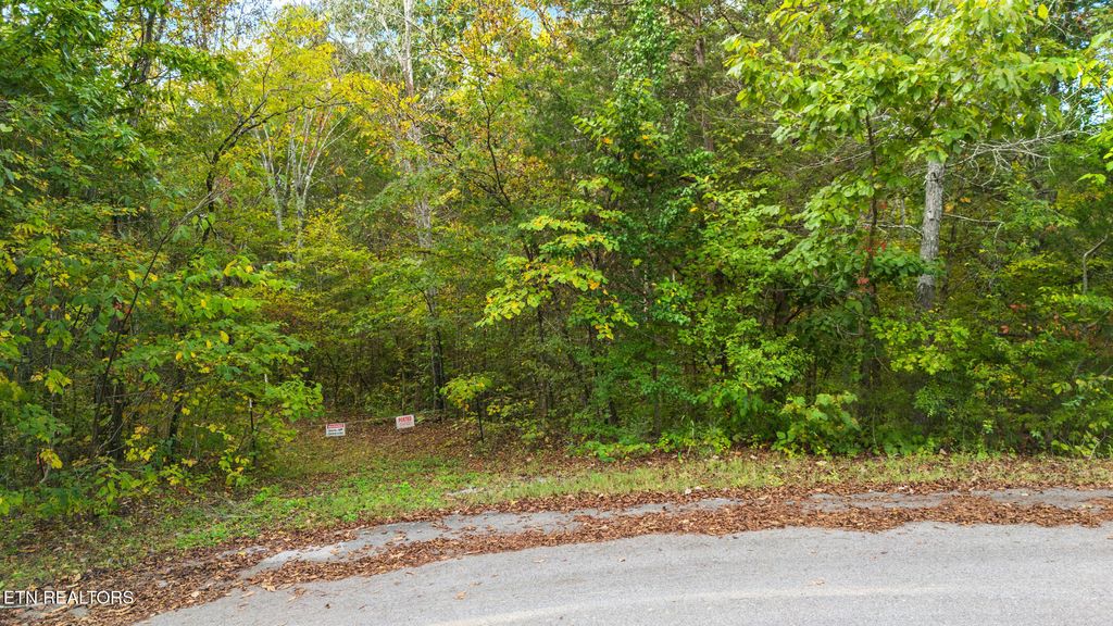Photo of Lot 2 Cedar Hills Rd, Sevierville, TN 37862 (MLS # 1318423)