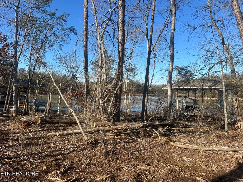 Photo of 14 Falcon Tr, Vonore, TN 37885 (MLS # 1331016)