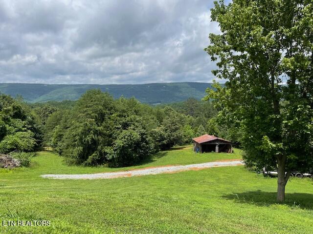 290 J L Davis Lane