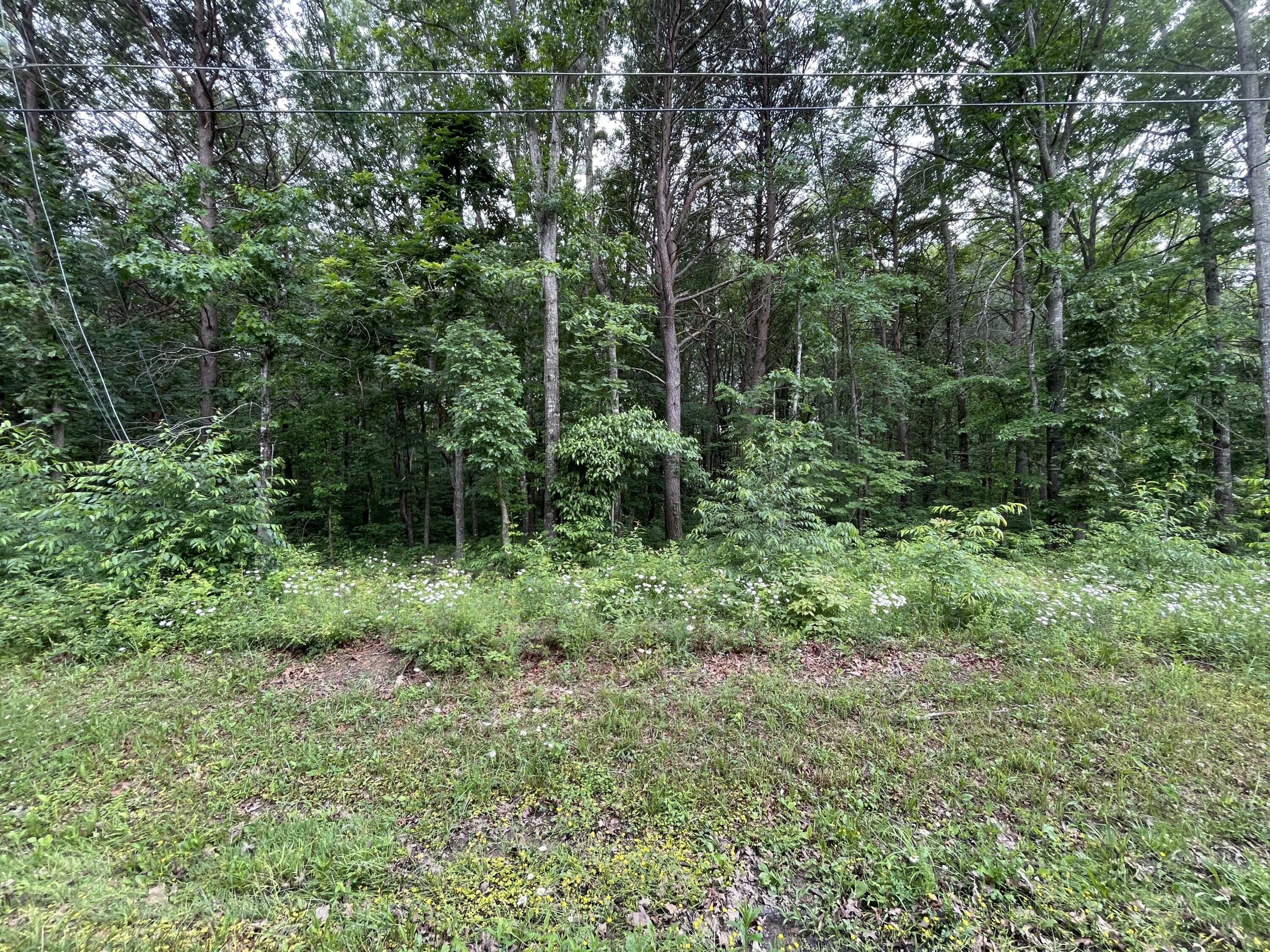 Photo 1 of 1 of 165 Cappshire Rd land