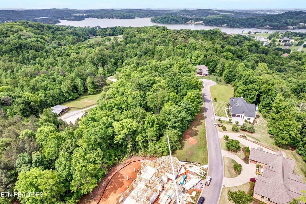 Photo of 3331 Preserve Pointe, Louisville, TN 37777 (MLS # 1335169)