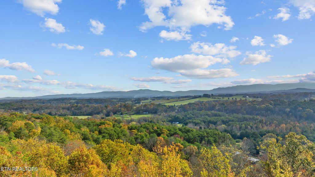 Photo of 150 Sheppard Rd, Sweetwater, TN 37874 (MLS # 1283025)