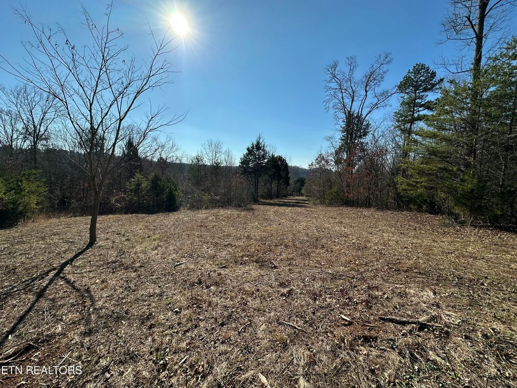 Photo of 150 Sheppard Rd, Sweetwater, TN 37874 (MLS # 1283025)