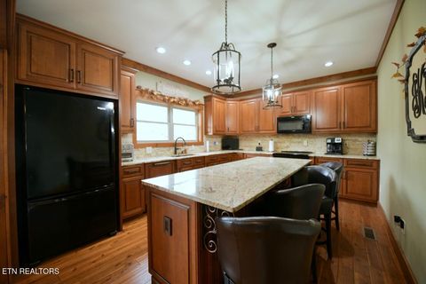 Tiny photo for 264 Waterfront Way, Ten Mile, TN 37880 (MLS # 1319405)