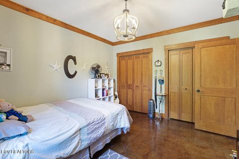 Tiny photo for 264 Waterfront Way, Ten Mile, TN 37880 (MLS # 1319405)