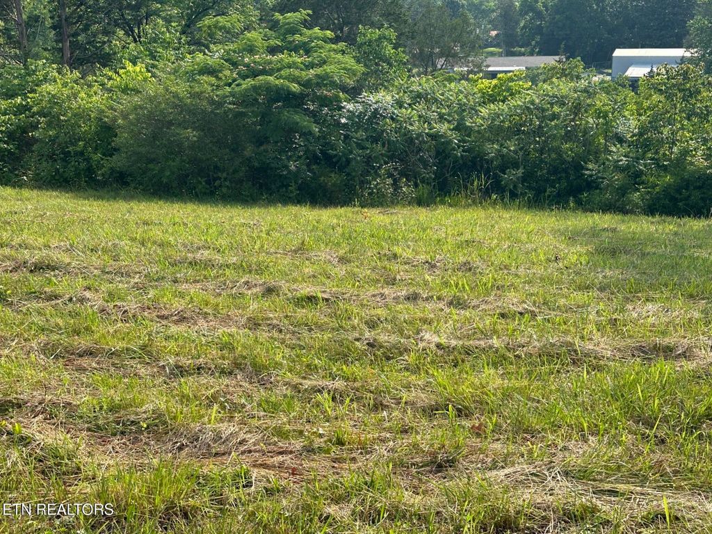 Photo of Wagon Lane, Speedwell, TN 37870 (MLS # 1302260)