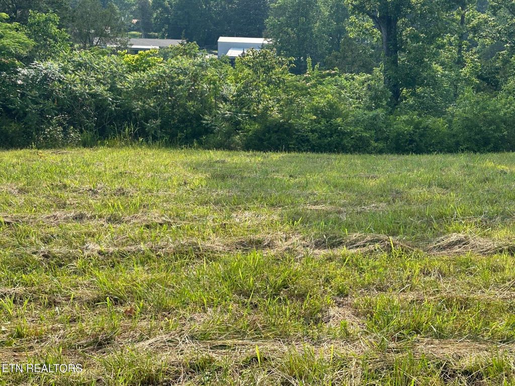 Photo of Wagon Lane, Speedwell, TN 37870 (MLS # 1302260)