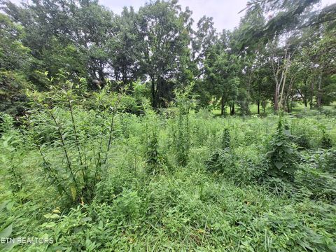 Tiny photo for 426 Rudd Hollow Rd, Townsend, TN 37882 (MLS # 1312782)