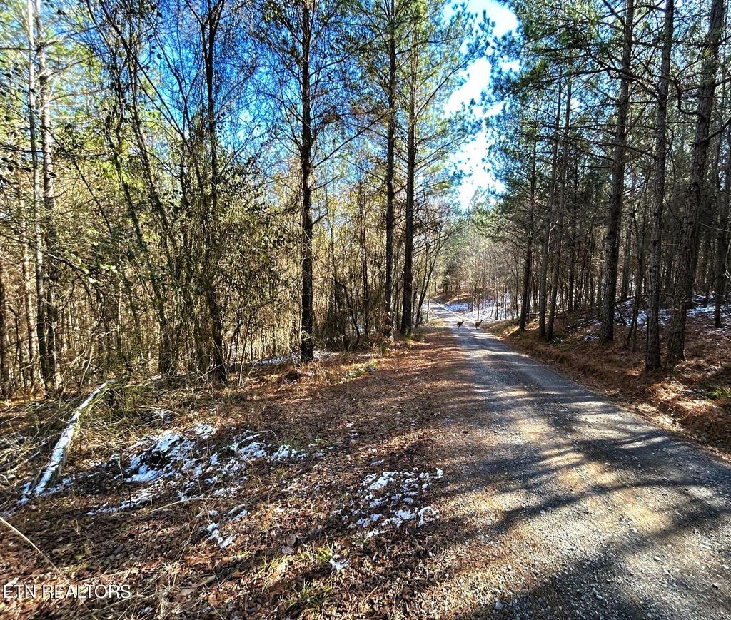 Photo of 1 Redman Ridge LAne, Decatur, TN 37322 (MLS # 1291919)