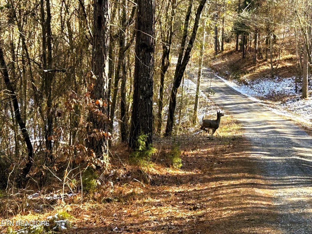 Photo of 1 Redman Ridge LAne, Decatur, TN 37322 (MLS # 1291919)