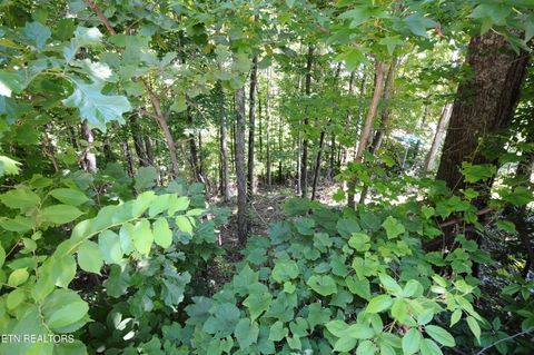 Wolfe Run Lane Caryville TN 37714