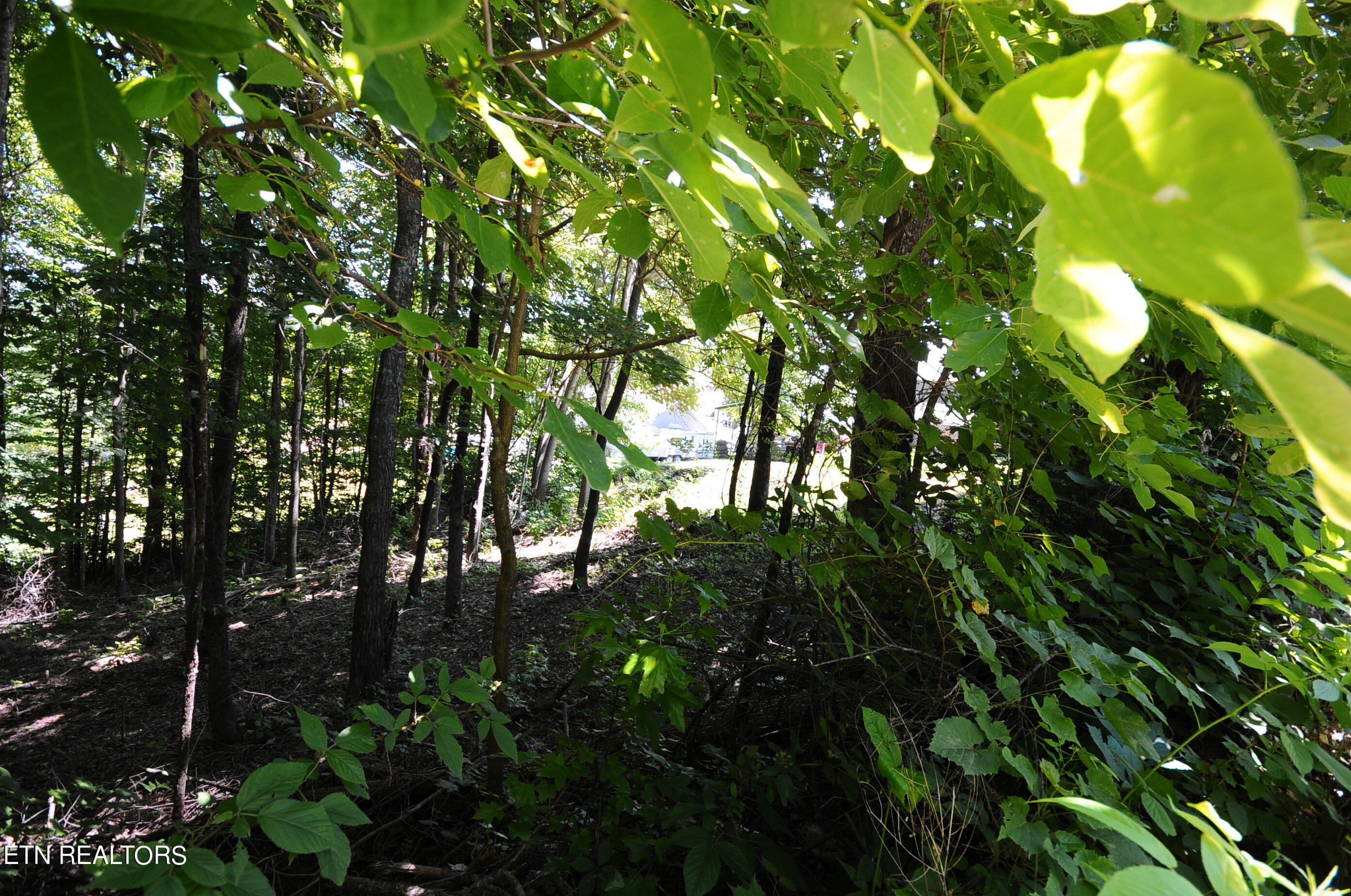 Wolfe Run Lane