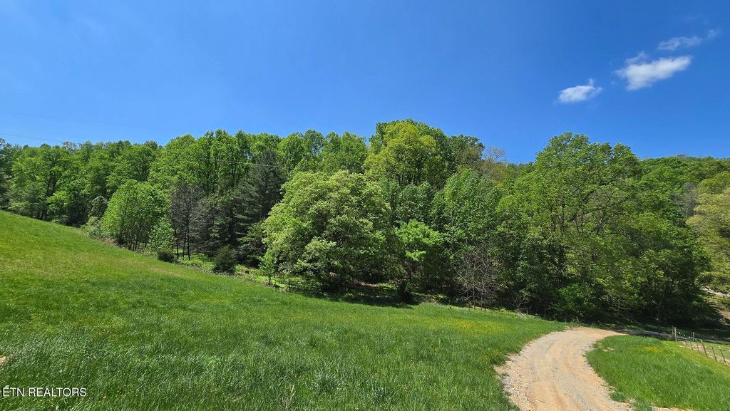 Photo of Dooley Hollow Rd, Ewing, VA 24248 (MLS # 1324672)