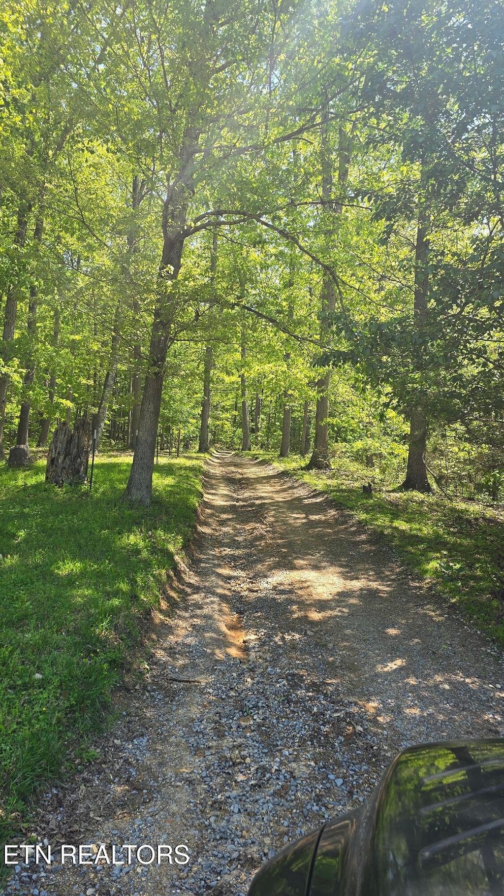 Photo of Dooley Hollow Rd, Ewing, VA 24248 (MLS # 1324672)
