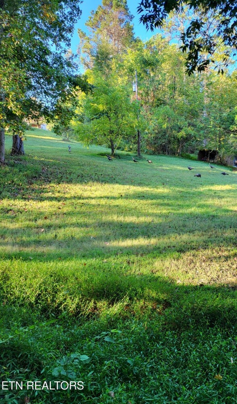 Tiny photo for 2143 Everett Rd, Knoxville, TN 37932 (MLS # 1311237)