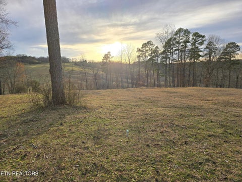 Tiny photo for 2143 Everett Rd, Knoxville, TN 37932 (MLS # 1311237)