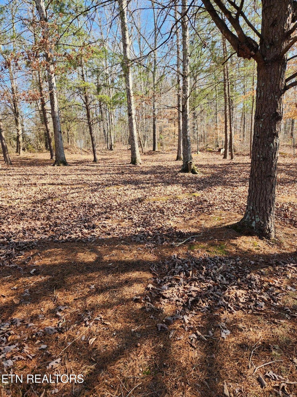 Photo of 1620 Fezzell Rd, Decatur, TN 37322 (MLS # 1289515)