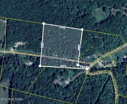 Photo of 148 Durkee Hollow Lane, LaFollette, TN 37766 (MLS # 1328251)