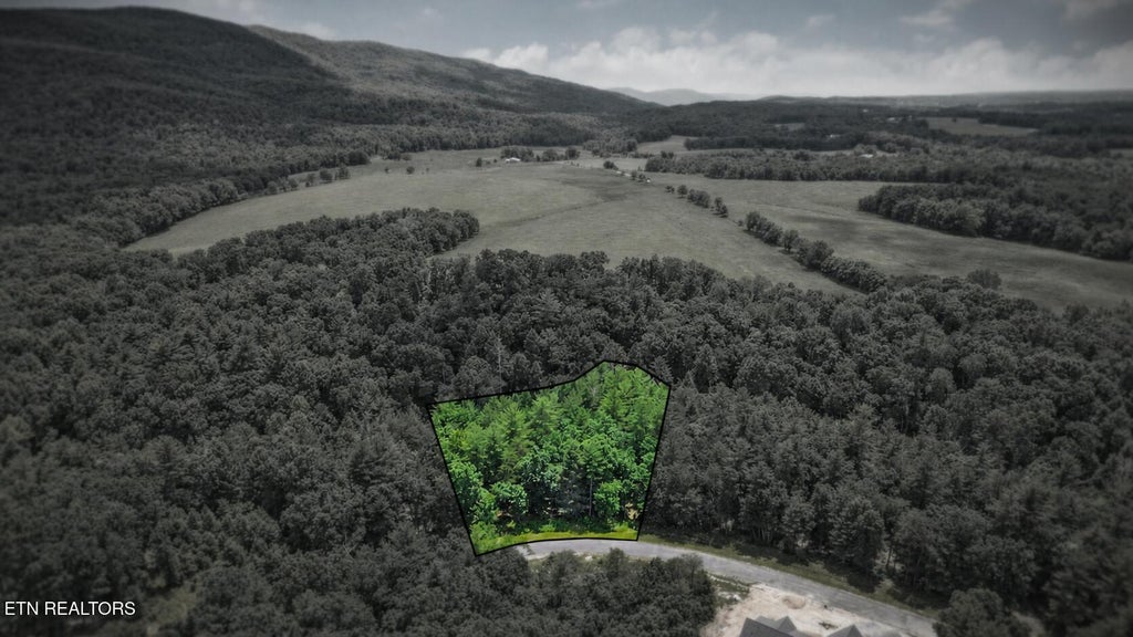 Photo of Noah Lane, Crossville, TN 38555 (MLS # 1344389)