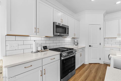 Tiny photo for 1516 Spring Berry Lane, Knoxville, TN 37924 (MLS # 1329545)