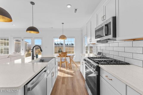 Tiny photo for 1516 Spring Berry Lane, Knoxville, TN 37924 (MLS # 1329545)