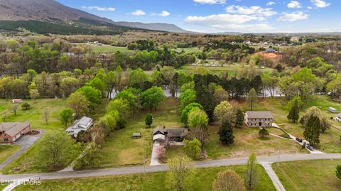 Tiny photo for 284278 Savannah Shores Drive, Delano, TN 37325 (MLS # 1343144)